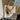 372776685b774f7a9e0ee7ad0df4840c-Max-Origin