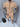 37836fa6-2746-47c7-a0d9-794d722d9129-Max-Origin
