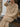 38eee7c2-4756-445f-8de9-cc85f3b4d371-Max