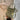 3ab52dd7-424f-45d2-8463-1ba2d19d3a9a-Max-Origin