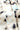 3ae99c41-ec62-4469-95f7-1a2145621f2a-Max-Origin