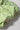 3b09c15c-3666-4bc6-b6f7-4070d563c3e2-Max-Origin