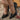 3c85b02b-cf2c-4576-b3d3-6c53c28b3009-Max