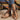 3d6d1b10-b5ae-43c6-a45e-43f9dce98153-Max