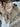 3d8a5b7a-9d43-4158-a2d6-633a745295fd-Max-Origin