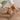3e4d5391-5167-4ded-b2e7-84753114c9be-Max-Origin