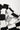 4054072c-7f21-42bf-b22d-485e56018f7b-Max