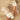 419f2927-2c9c-492b-ab0d-dc6170d77062-Max-Origin