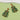425727b9-89ee-4312-8b03-32e82907b448-Max-Origin
