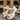 42df0d44-9e88-49a8-951e-1ba92c927878-Max-Origin