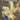4455f84718584a4aa48736b7ad771c25-Max-Origin