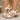 4481558f-afb5-4473-897c-37e970b6cfa9-Max-Origin