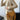 44db0589-5e75-4865-acbf-4af315ac5754-Max-Origin