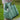 44e641d662ff46528d3aa8d4d85e3abd-Max-Origin