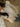 44ea297d-8a69-4fef-8aa2-4f90f6eabc4a-Max-Origin