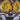 44fb8012-4c6e-41e1-89a0-bb8b3e68de55-Max-Origin