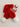 4668c303-3e17-4e70-aaf2-3afd6d35c019-Max-Origin
