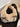 484b77e4-dfbf-46ce-b8d8-ad3c9538ac38-Max-Origin