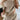 48b927d72f5f4975bebe49f804854296-Max-Origin