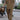 4c4ea56f-c282-4ae9-ac34-e39428ec90ea-Max-Origin