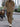 4c4ea56f-c282-4ae9-ac34-e39428ec90ea-Max-Origin