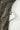 4d60cdd2-dbc3-411f-898e-3a9b9ac69b5e-Max-Origin