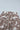 4d964418-558a-4ecb-8b20-1913aef86385-Max-Origin