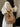 4f2f38e8-8c9d-4eae-9c42-c1138c150b88-Max-Origin