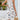 4f95bb24-3706-4bf7-b811-eed21b3182d3-Max-Origin