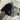 5009dd99-eb82-486b-bad7-4c92449cc04b-Max-Origin