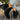 5090da24fcca40cfbada8026621f45e7-Max-Origin