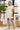 513467be7b514c9aadf1106984525ff0-Max-Origin