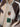 5147b848-b3ac-4358-b90d-966c74b86579-Max-Origin