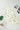 5174f665-18c2-4a0b-b68e-c1f5e91e2759-Max-Origin