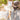51881b11-ea8f-4e2d-9a30-ea379f0b1663-Max-Origin