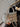 520e11ec-ead0-497c-94e1-ad2922648766-Max-Origin