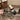 521a7d4b82014b79ac284f6eda5d4646-Max-Origin