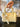 5224ee5f-7704-47c2-989a-ad09b02172df-Max-Origin