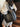 52b642d0-f20d-44f6-92fe-666b04d7d824-Max-Origin