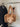 52e66d34-5149-48d0-9405-6a2453b46d54-Max-Origin