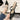 530829f7-729f-44fd-8991-be32f5d968f6-Max
