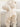 537967a4-2fdf-46af-b566-d0ad8de621ab-Max-Origin
