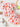 5379a4eb39a0449aad85d2c0aa739255-Max