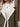 53d85700-8021-4d87-8295-fcf3567fc2d3-Max-Origin