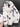 547c162d7f0843b08d379cc129cf93b6-Max-Origin