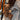 55016971db224267aa9ad2c62b323361-Max