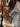 55016971db224267aa9ad2c62b323361-Max