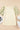 55f0f6a1-796d-4648-a898-a929c878d528-Max