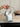 55f511d9-3413-41a8-acd5-d619f8dbbb20-Max-Origin