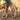 5797142bc2bb4ad389580805a372cb62-Max-Origin